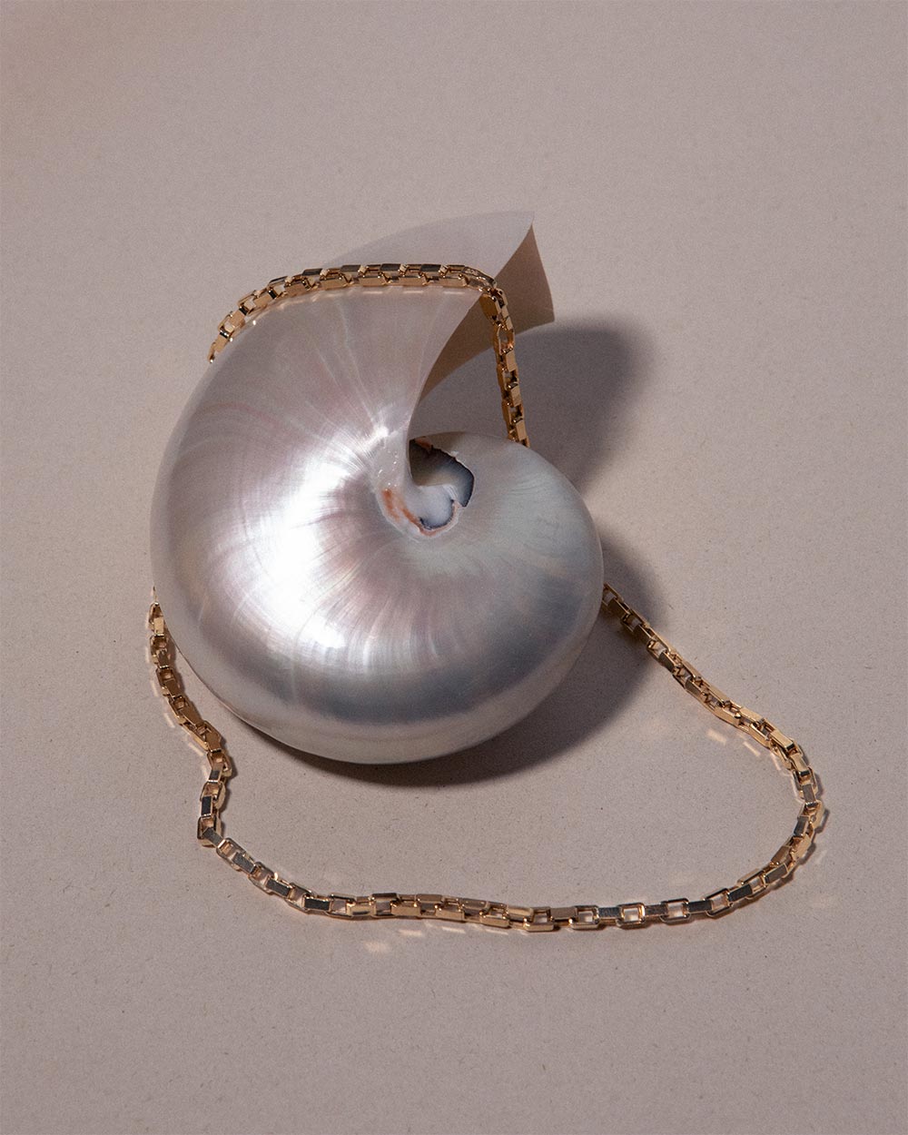 Heavy Box Chain Necklace