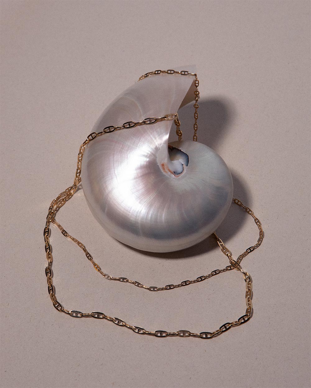 Mariner Chain Necklace