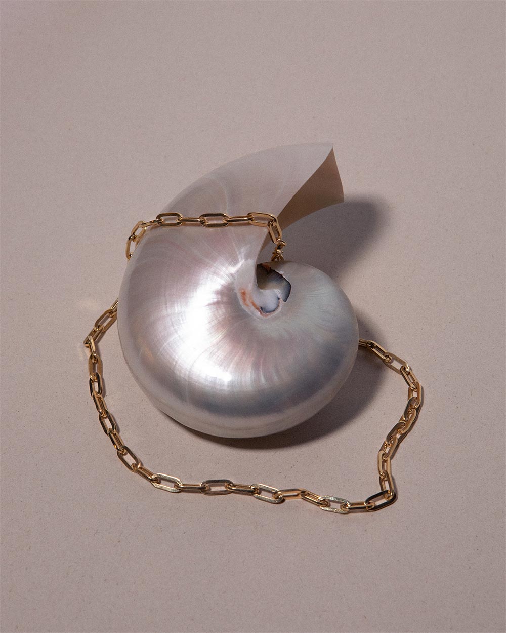 Jumbo Paper Chain Necklace