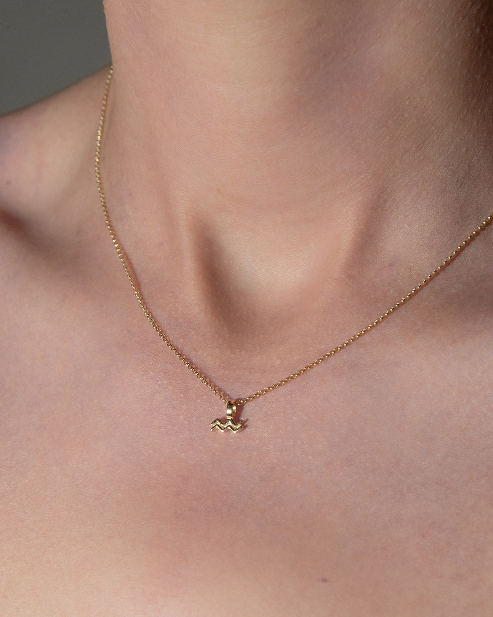 Aquarius Zodiac Charm