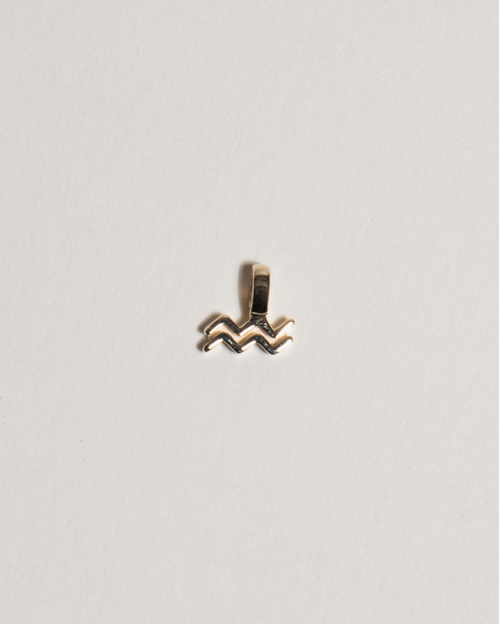 Aquarius Zodiac Charm