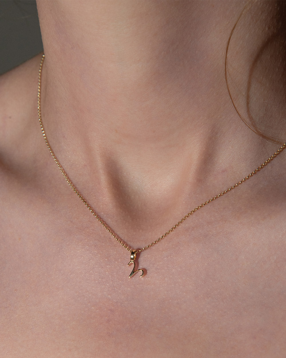 aries Zodiac Charm on chain worn by model
