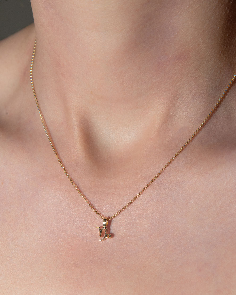 Capricorn Zodiac Charm Necklace