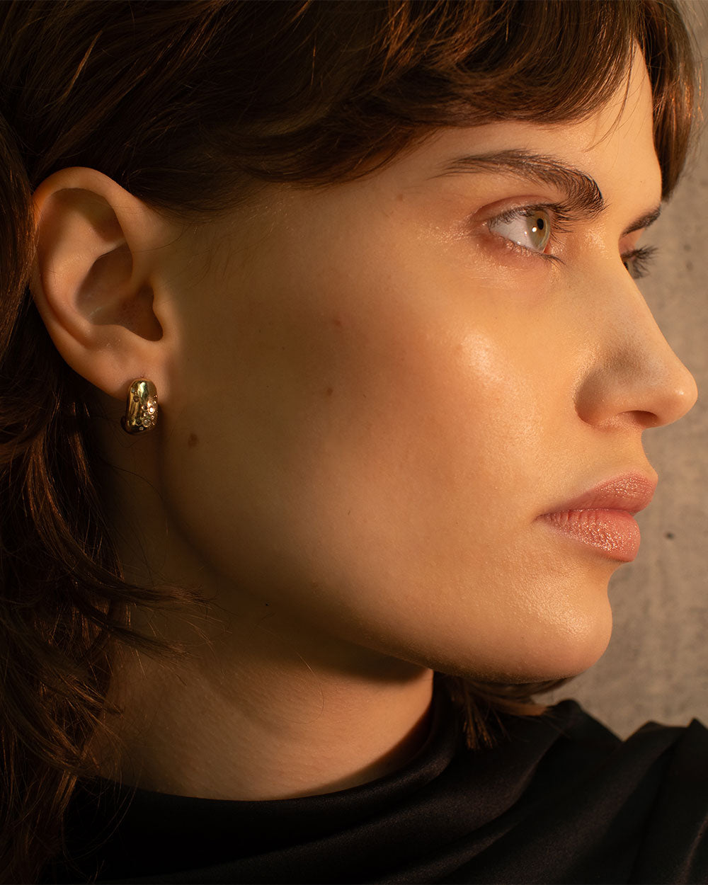 Celestial Diamond Huggie Hoop Earrings
