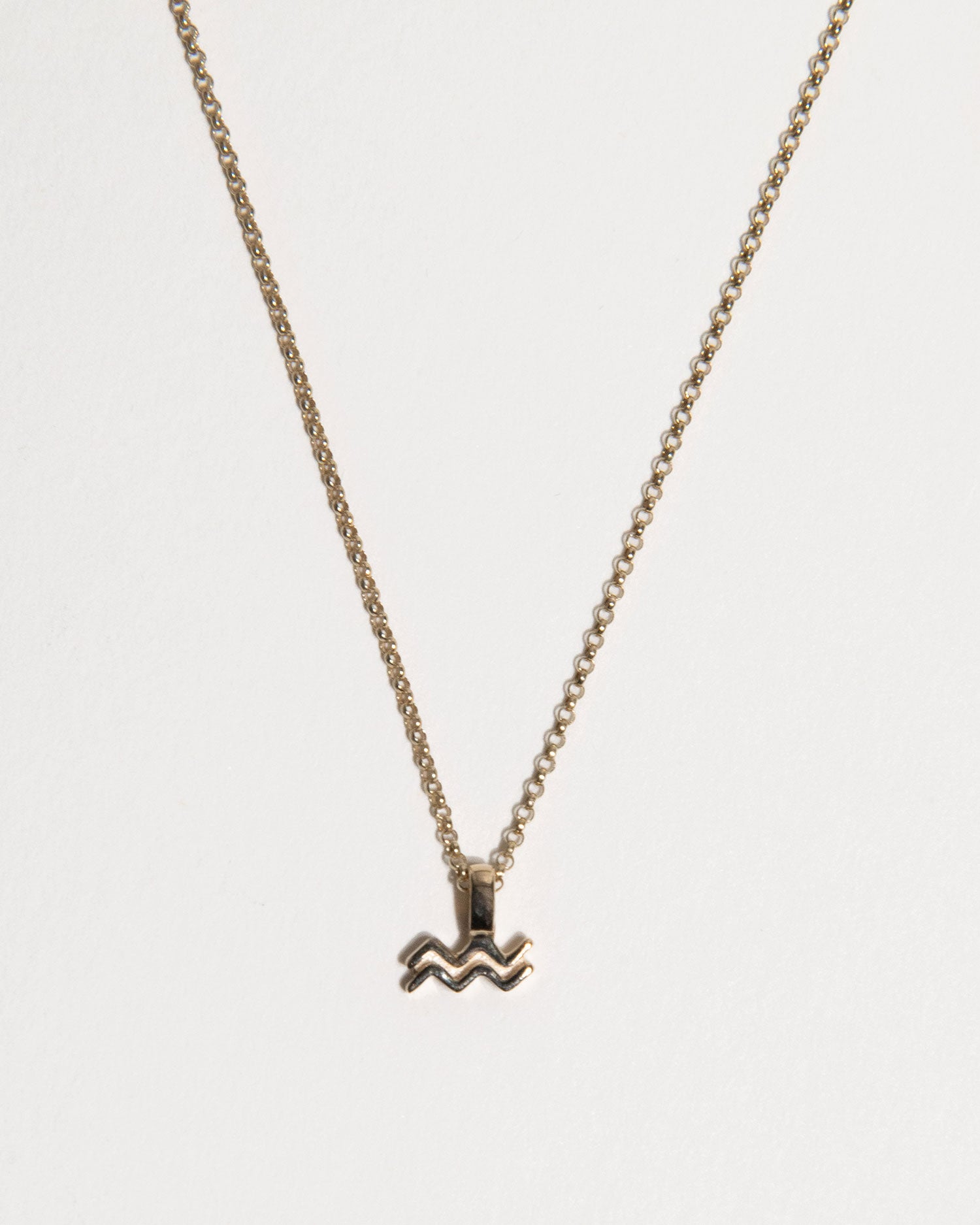 Aquarius Zodiac Charm Necklace