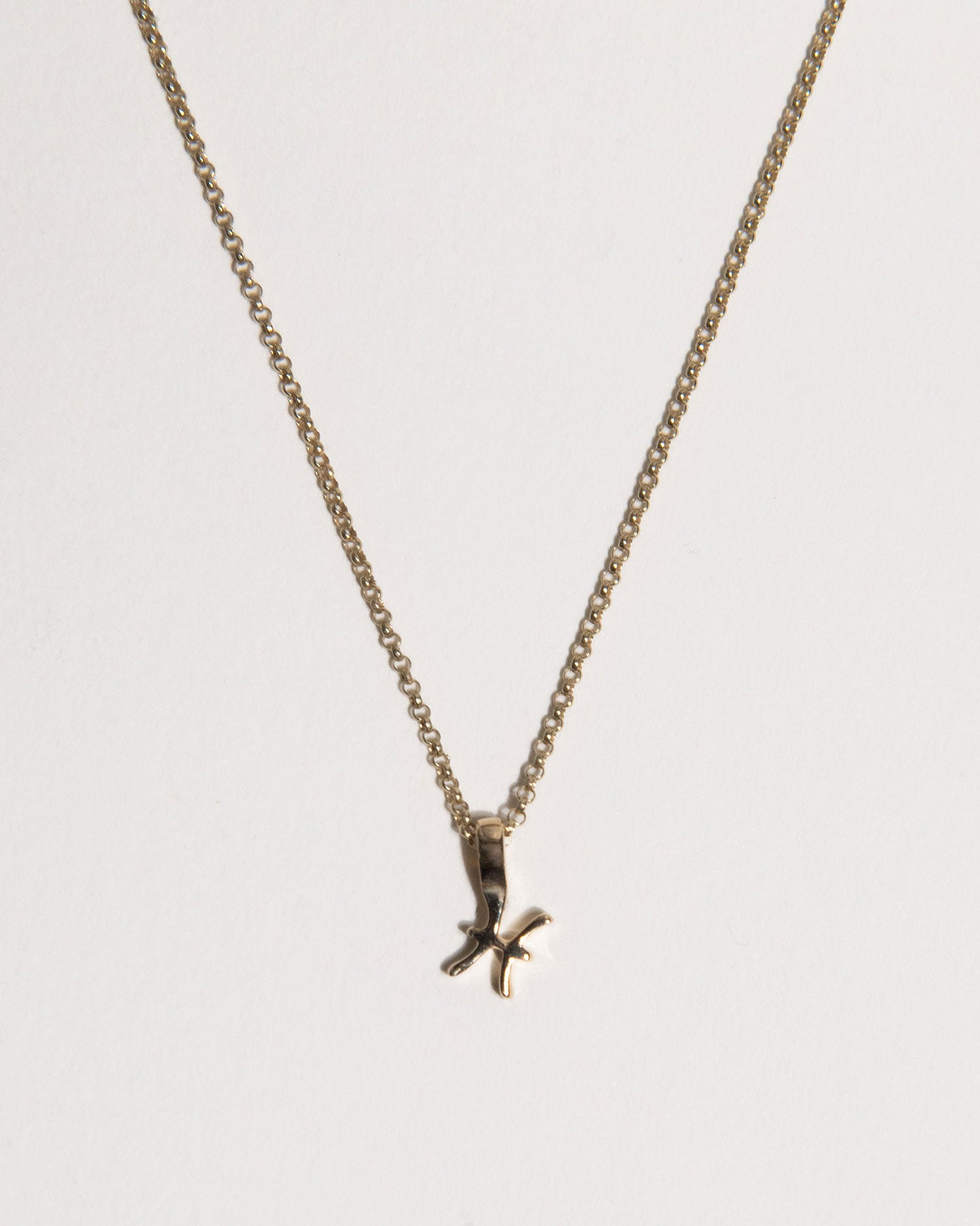 Zodiac Charm Necklace