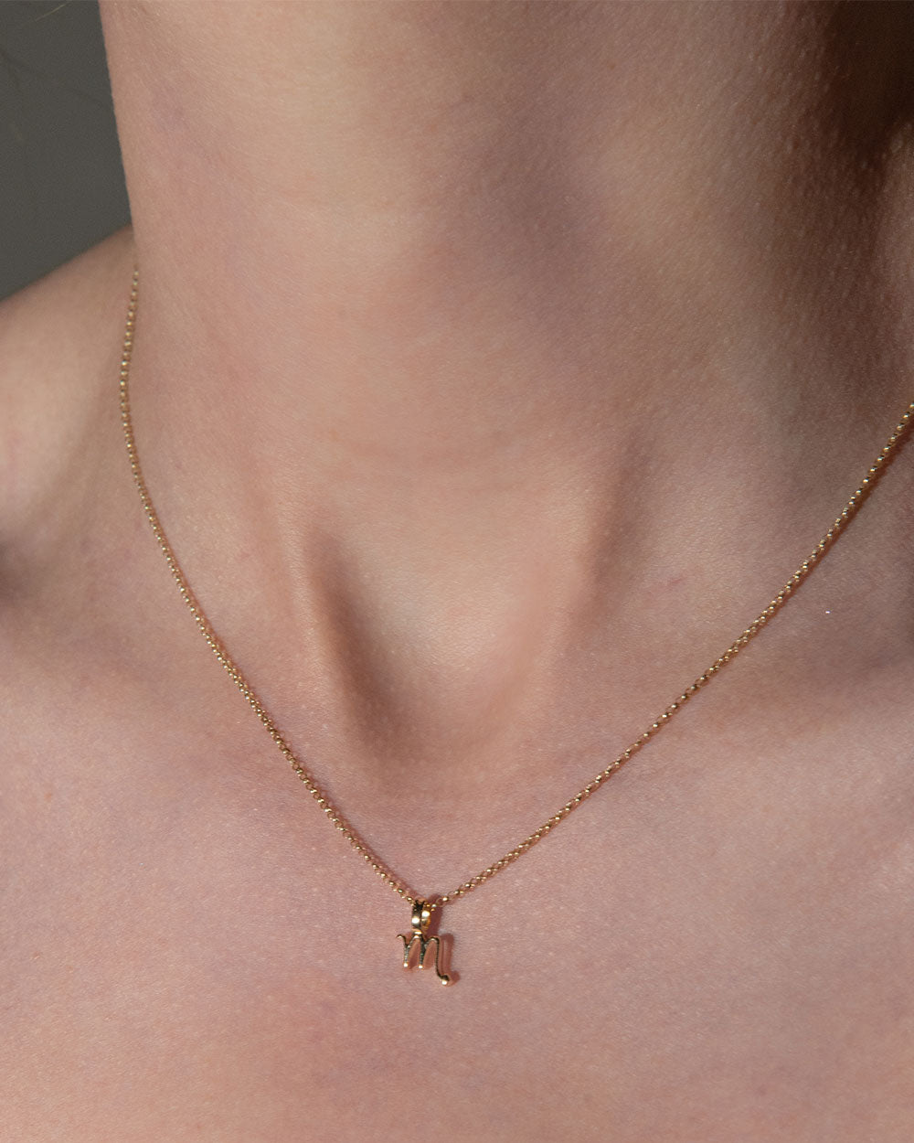 Zodiac Charm Necklace