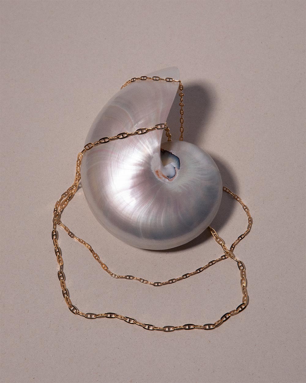 Heavy Mariner Chain Necklace