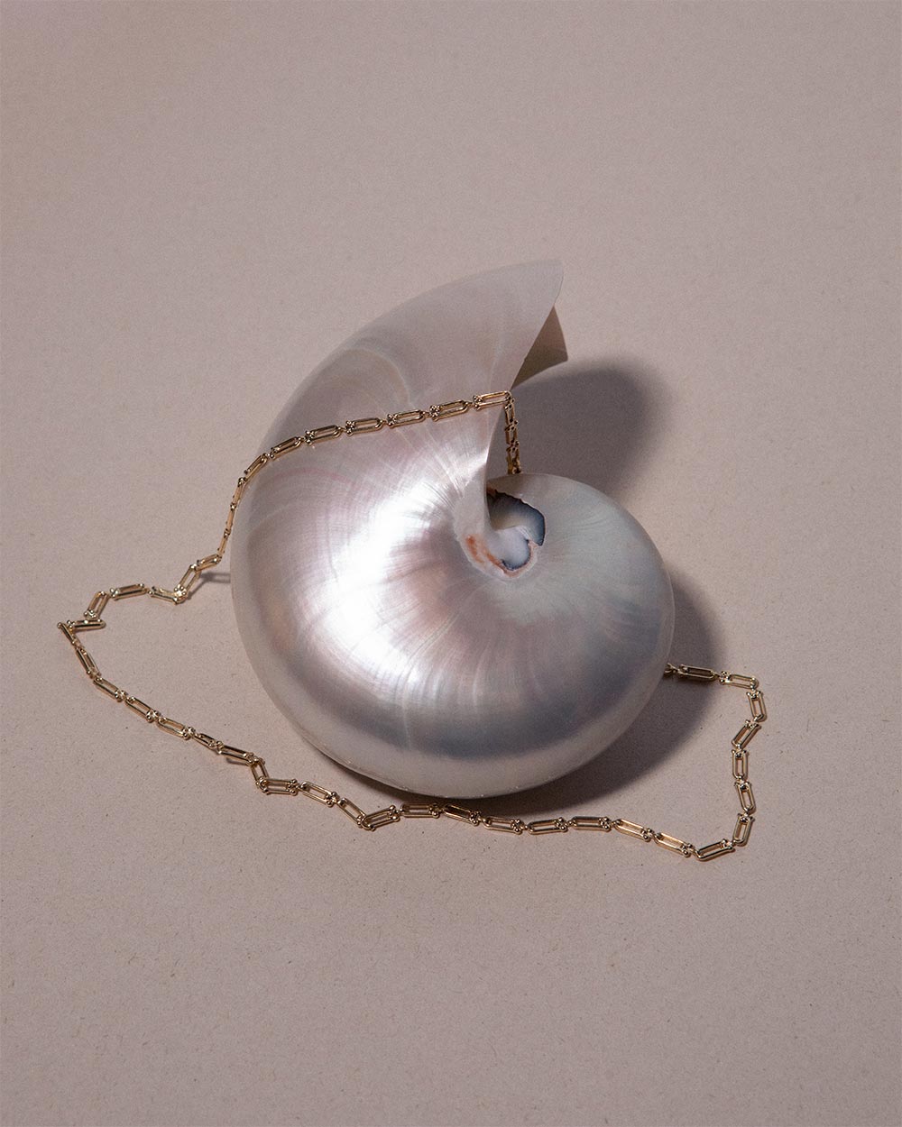 Horseshoe Chain Necklace