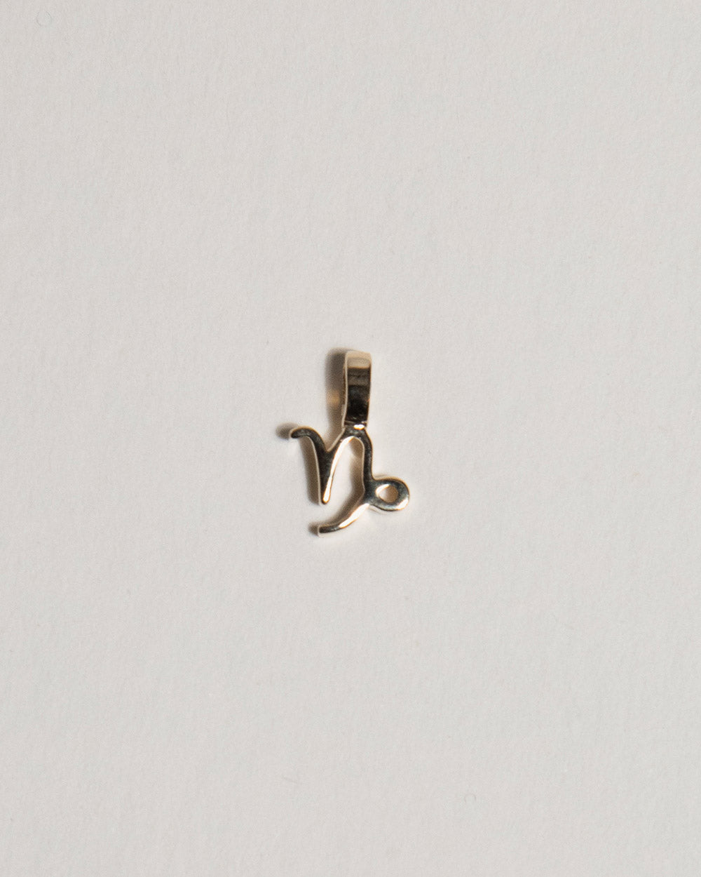 Capricorn Zodiac Charm Necklace