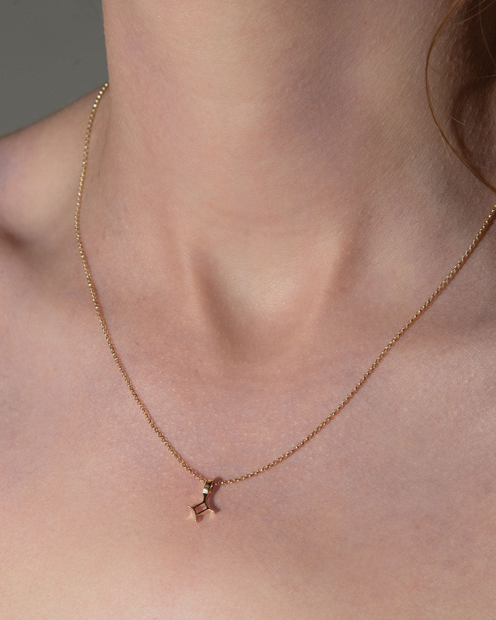 Gemini Zodiac Charm Necklace