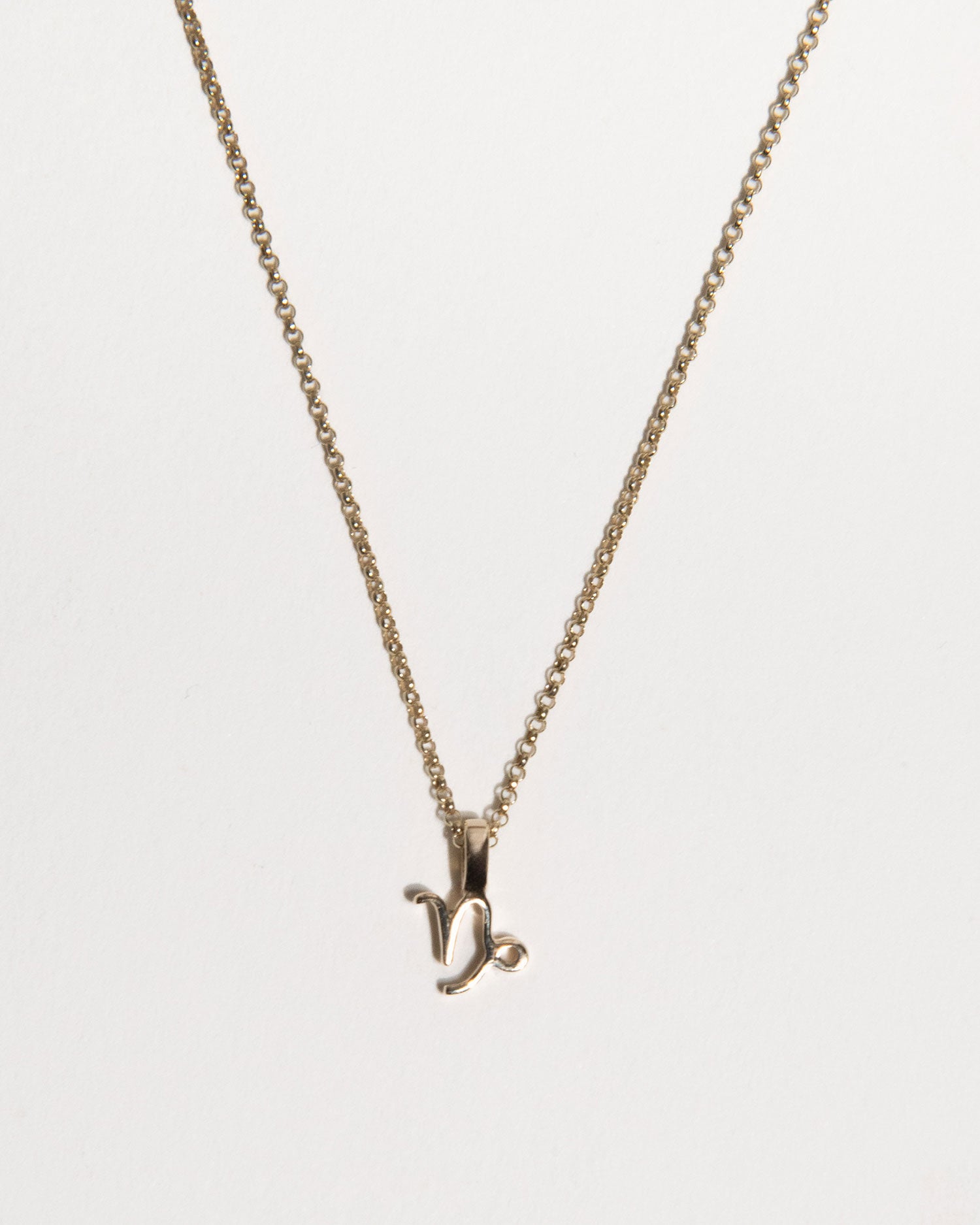 Capricorn Zodiac Charm Necklace