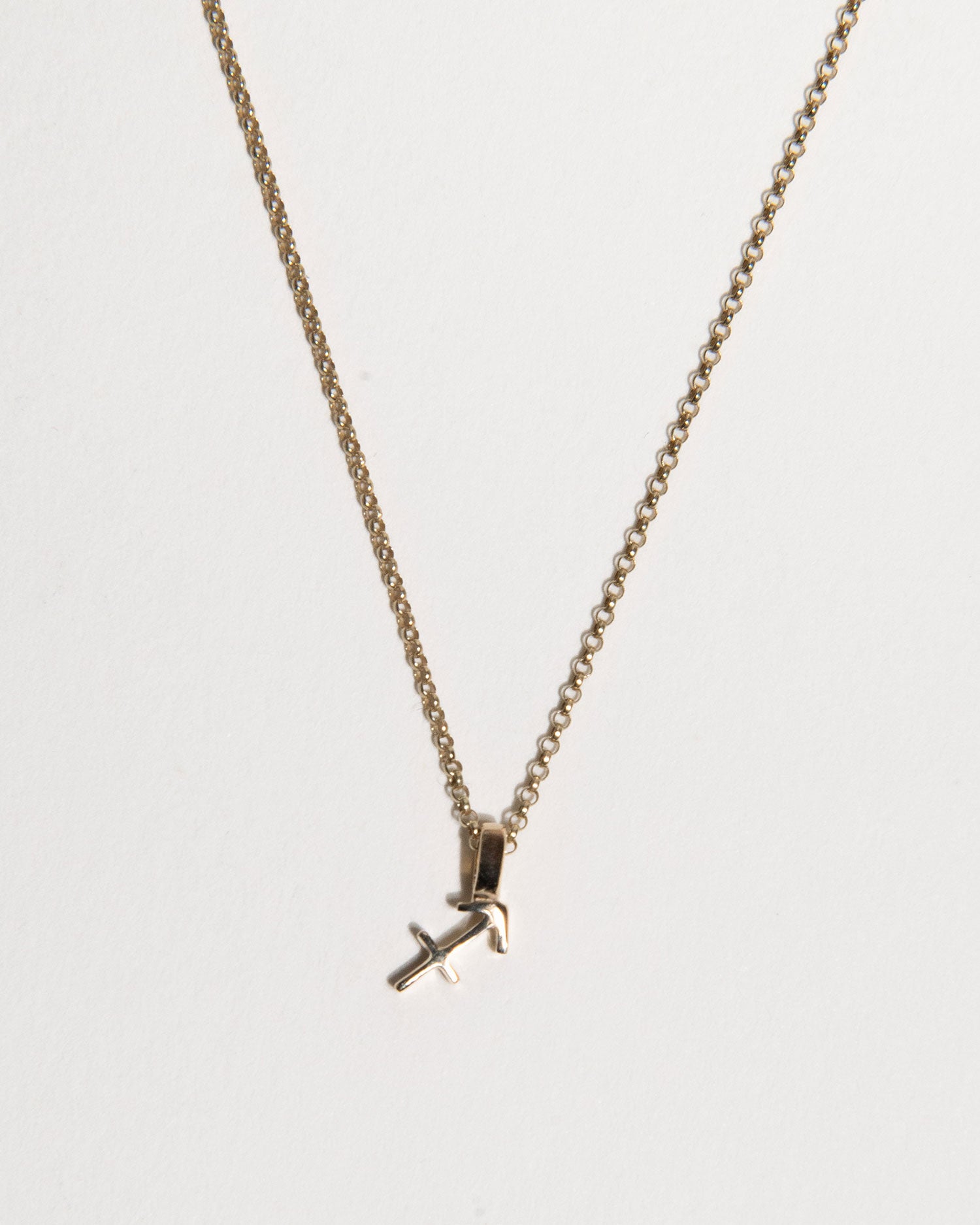 Sagittarius Zodiac Charm Necklace