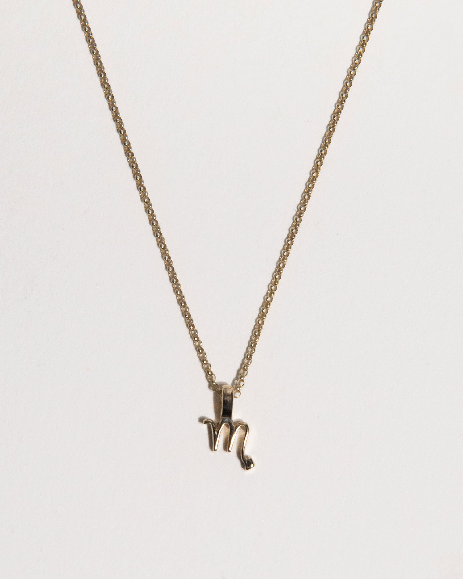 Scorpio Zodiac Charm Necklace