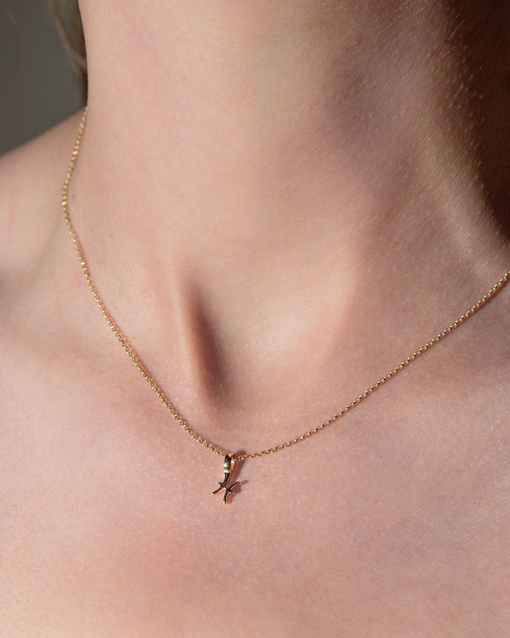 Pisces Zodiac Charm Necklace