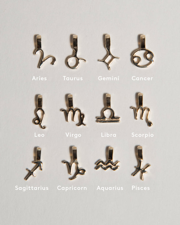 Zodiac Charm